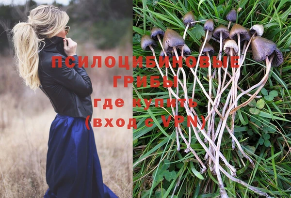 мет Баксан