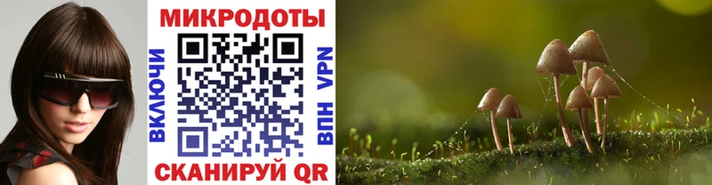 где купить наркоту  Улан-Удэ  Псилоцибиновые грибы Psilocybine cubensis 