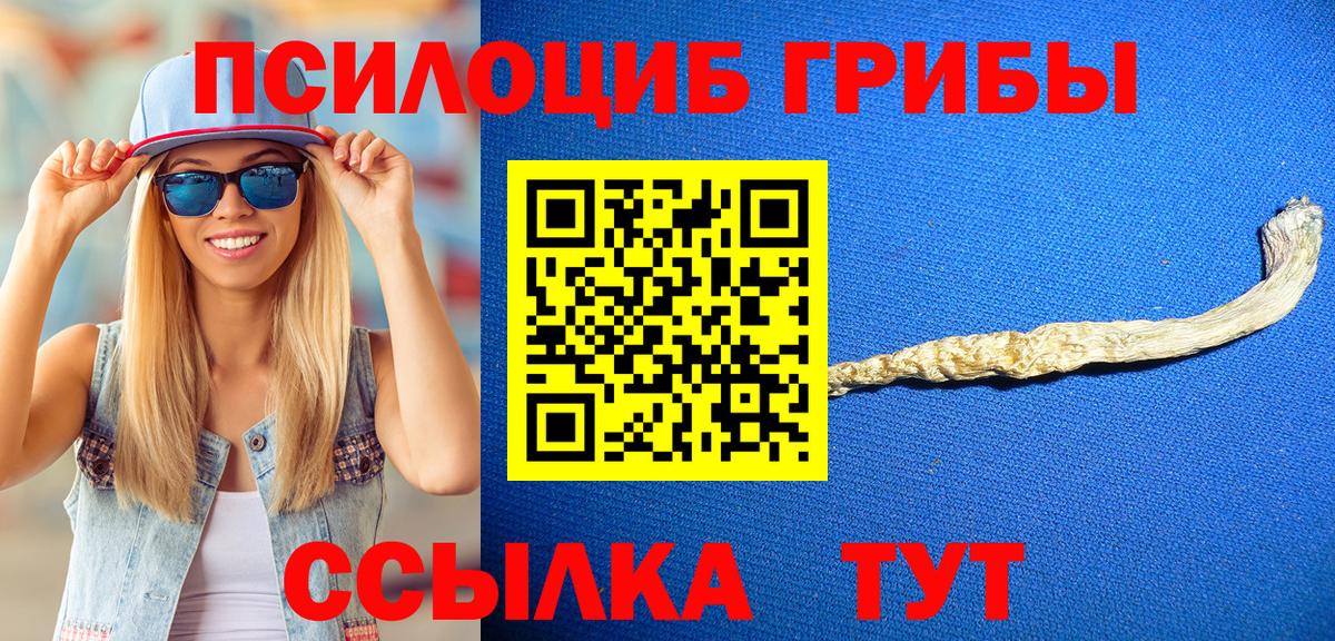 где купить наркоту  Псилоцибиновые грибы Psilocybine cubensis  Вход с VPN  Улан-Удэ 